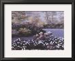 Blooming Isle by Diane Romanello Limited Edition Print