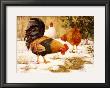 December Chickens by Robert A. Johnson Limited Edition Pricing Art Print