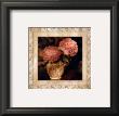 English Peony I by Joann T. Arduini Limited Edition Print