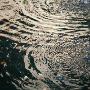 Water Drops Iv by Nicole Katano Limited Edition Print