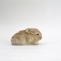 Sandy Lop-Eared Rabbit, Two-Weeks by Jane Burton Limited Edition Print
