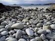 Stony Beach On Knoydart Peninsula, Western Scotland by Pete Cairns Limited Edition Print