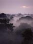 Dawn Over Canopy Of Tai Forest, Cote D'ivoire, West Africa by Michael W. Richards Limited Edition Print