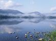 Dawn Over Loch Morlich, Cairngorms National Park, Scotland by Pete Cairns Limited Edition Print