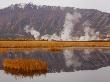 Geysers And Fumeroles Of The Uzon Volcano, Kronotsky Zapovednik Reserve, Kamchatka, Russia by Igor Shpilenok Limited Edition Print