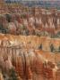 Hoodoo Sandstone Structures, Bryce Canyon National Park, Utah, Usa by Pete Cairns Limited Edition Pricing Art Print