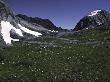 Blooming Grassland Surrounded By Mountains, Chile by Pablo Sandor Limited Edition Print