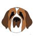 Saint Bernard by Avalisa Limited Edition Print