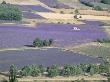 Mosaic Of Fields Of Lavander Flowers Ready For Harvest, Sault, Provence, France, June 2004 by Inaki Relanzon Limited Edition Print