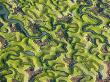 Saltmarsh At Low Tide Near Cadiz, Spain, February 2008 by Niall Benvie Limited Edition Print