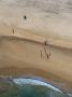 People On A Beach With Very Long Shadows, Near Cadiz, Spain, February 2008 by Niall Benvie Limited Edition Print