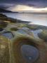 Sandstone Rock Formations On Seven Mile Beach, South Island, New Zealand by Adam Burton Limited Edition Print