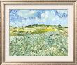 Die Ebene Bei Auvers, C.1890 by Vincent Van Gogh Limited Edition Print