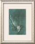 The Praying Hands by Albrecht Durer Limited Edition Print