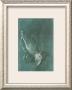 The Praying Hands by Albrecht Dã¼rer Limited Edition Print