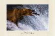 Catch Of The Day by Thomas D. Mangelsen Limited Edition Print