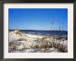 Pristine Dunes On Jekyll Island, Georgia by Giovanna Dell'orto Limited Edition Pricing Art Print