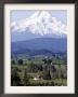 Mount Hood Over Houses Scattered Amongst Orchards And Firs, Pine Grove, Oregon by Don Ryan Limited Edition Print