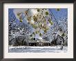 South Lawn Of Thomas Jefferson's Home Monticello by Steve Helber Limited Edition Pricing Art Print