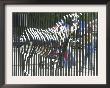 A Zebra On The Front Gate Of The 75-Year-Old Zoo In Warsaw, Poland,June 24, 2003 by Czarek Sokolowski Limited Edition Print