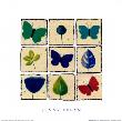 Four Butterflies by Jenny Frean Limited Edition Print
