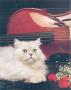 Cat And Cello by Ron Kimball Limited Edition Pricing Art Print