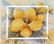 Freesias In Fantasy Ii by Rian Withaar Limited Edition Print