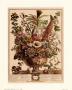 December by Robert Furber Limited Edition Print