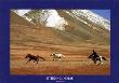 Mongolia by Etienne Dehau Limited Edition Print