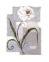 A Summer's Gray I by C. Robertson Limited Edition Print