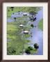 Flooded Houses And Landscape Near Caia, Mozambique, C.2007 by Themba Hadebe Limited Edition Print