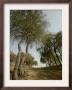 Ghaf, Emirates Desert Tree, Dubai by Nousha Salimi Limited Edition Pricing Art Print