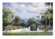 Santa Barbara View by Bi Wei Limited Edition Pricing Art Print