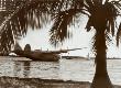 California And China Clipper, Pearl Harbor, Hawaii 1939 by Tao Sing Loo Limited Edition Print