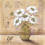 White Bouquet Ii by Petrina Sutton Limited Edition Print