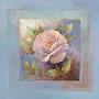 Roses On Blue Iv by Peter Mcgowan Limited Edition Print
