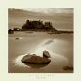 Shi-Shi Beach, Olympic National Park by Alan Majchrowicz Limited Edition Pricing Art Print