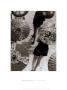 On The Beach, Germany, 1929 by Martin Marmorstein Munkacsi Limited Edition Pricing Art Print