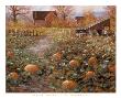 Harvest Memory by Jon Mcnaughton Limited Edition Pricing Art Print