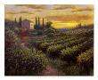 Tuscan Vineyard by Jon Mcnaughton Limited Edition Pricing Art Print