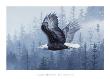 Spirit Of The Forest by Telander Limited Edition Pricing Art Print
