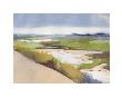 Walberswick Marsh by Charlotte Evans Limited Edition Pricing Art Print