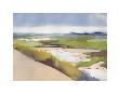 Walberswick Marsh by Charlotte Evans Limited Edition Print