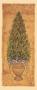 Monterey Bay Brush Boxwood by Shari White Limited Edition Pricing Art Print