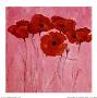 Red Poppies by Teo Malinverni Limited Edition Pricing Art Print