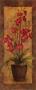 Potted Orchid In Red by T. C. Chiu Limited Edition Pricing Art Print