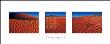 Namibian Sands by Chris Simpson Limited Edition Print