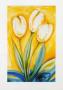 Sunny Tulips by Alfred Gockel Limited Edition Pricing Art Print
