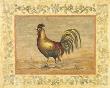 Rooster by Banafshe Schippel Limited Edition Print