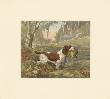 Springer And Pheasant by Reuben Ward Binks Limited Edition Pricing Art Print